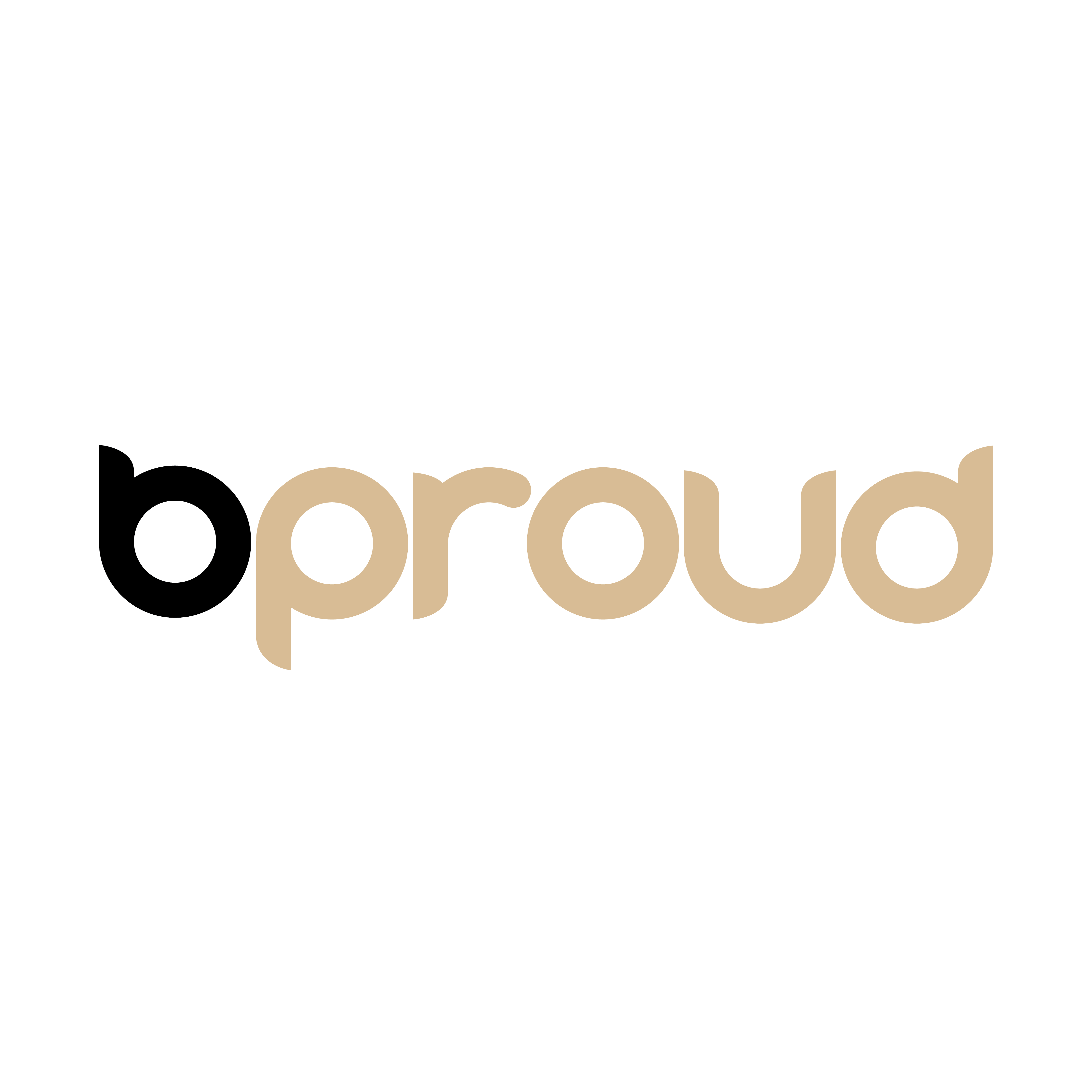 The logo or business face of "Bproud LLC"