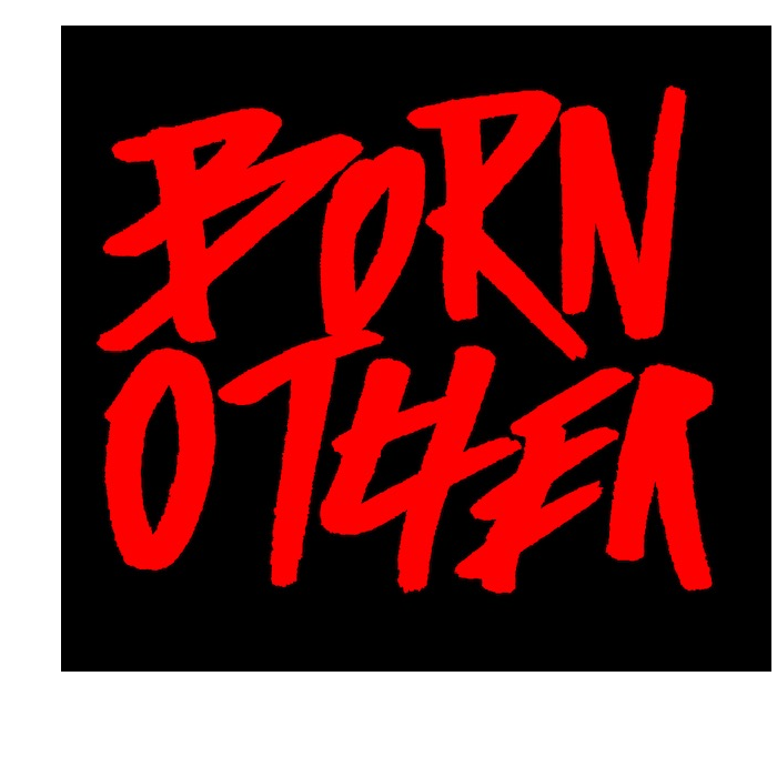 The logo or business face of "Born Other LLC"