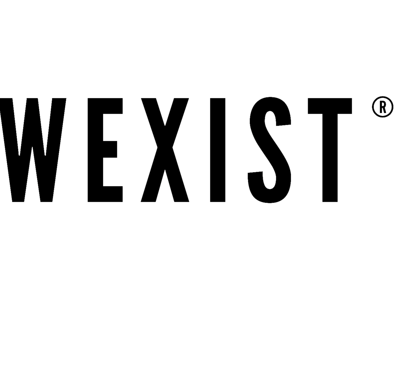 The logo or business face of "WEXIST"