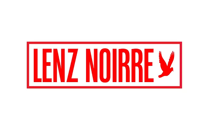 The logo or business face of "Lenz Noirre Design"