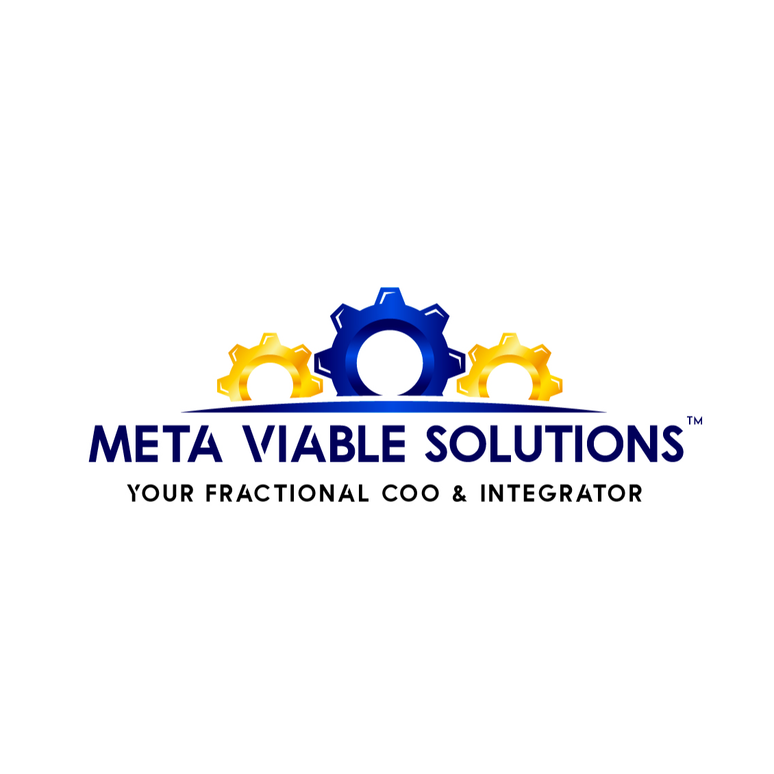 The logo or business face of "Meta Viable Solutions"