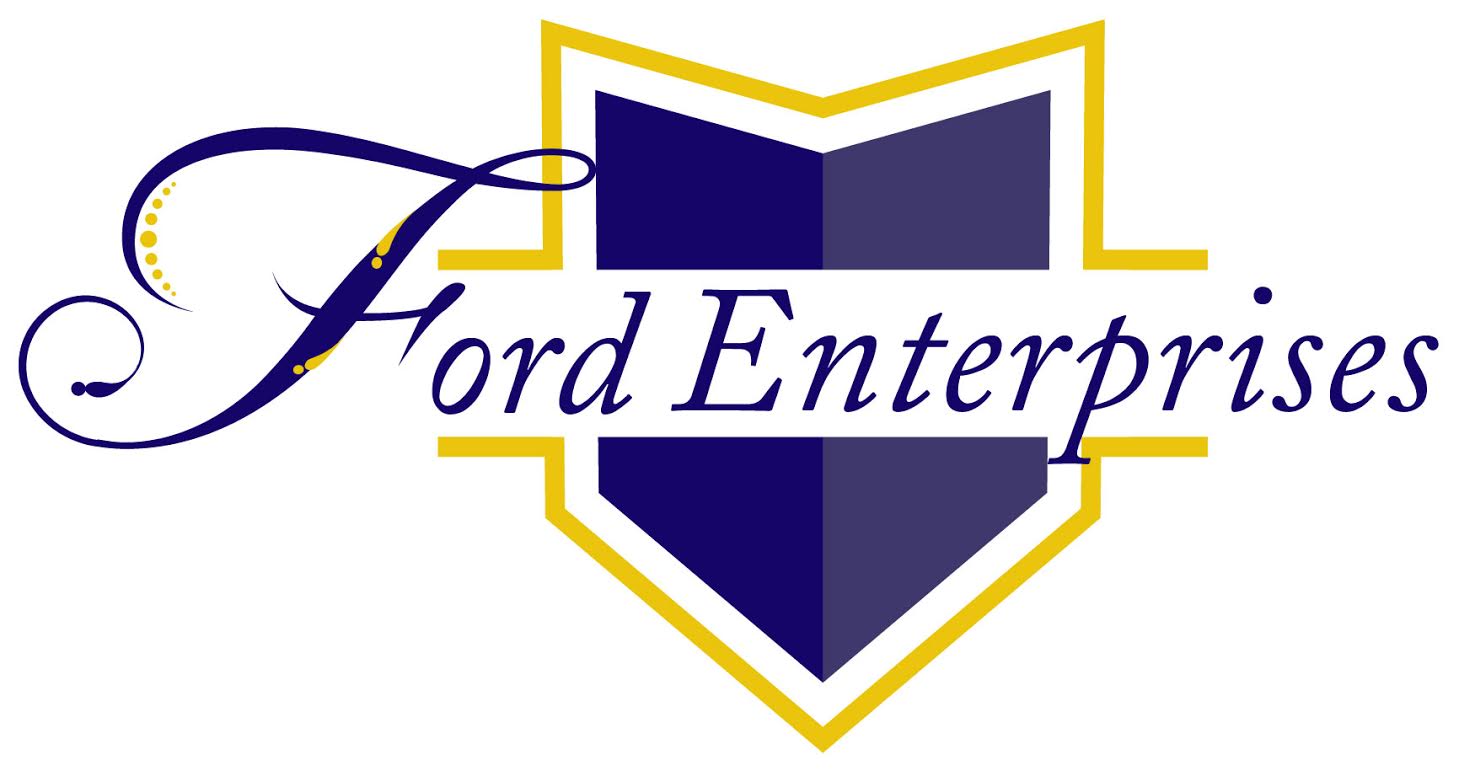 The logo or business face of "The Ford Enterprises Group LLC"