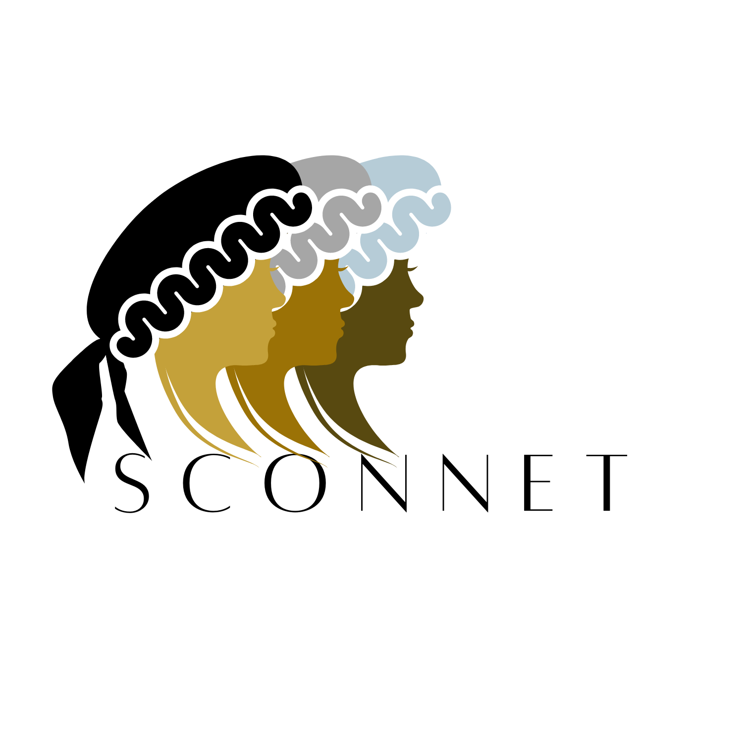 The logo or business face of "Sconnet LLC"