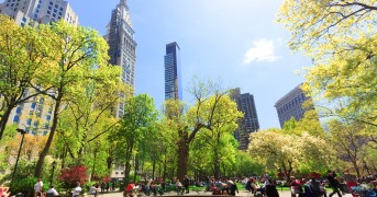 newyork-3