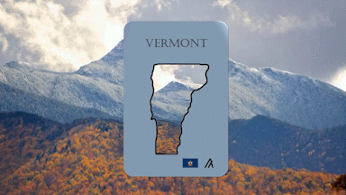 ALGOVERMONT icon