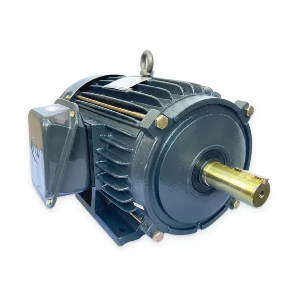 Động cơ VTC 2.2 kW 1450 v/p 220V Chân đế