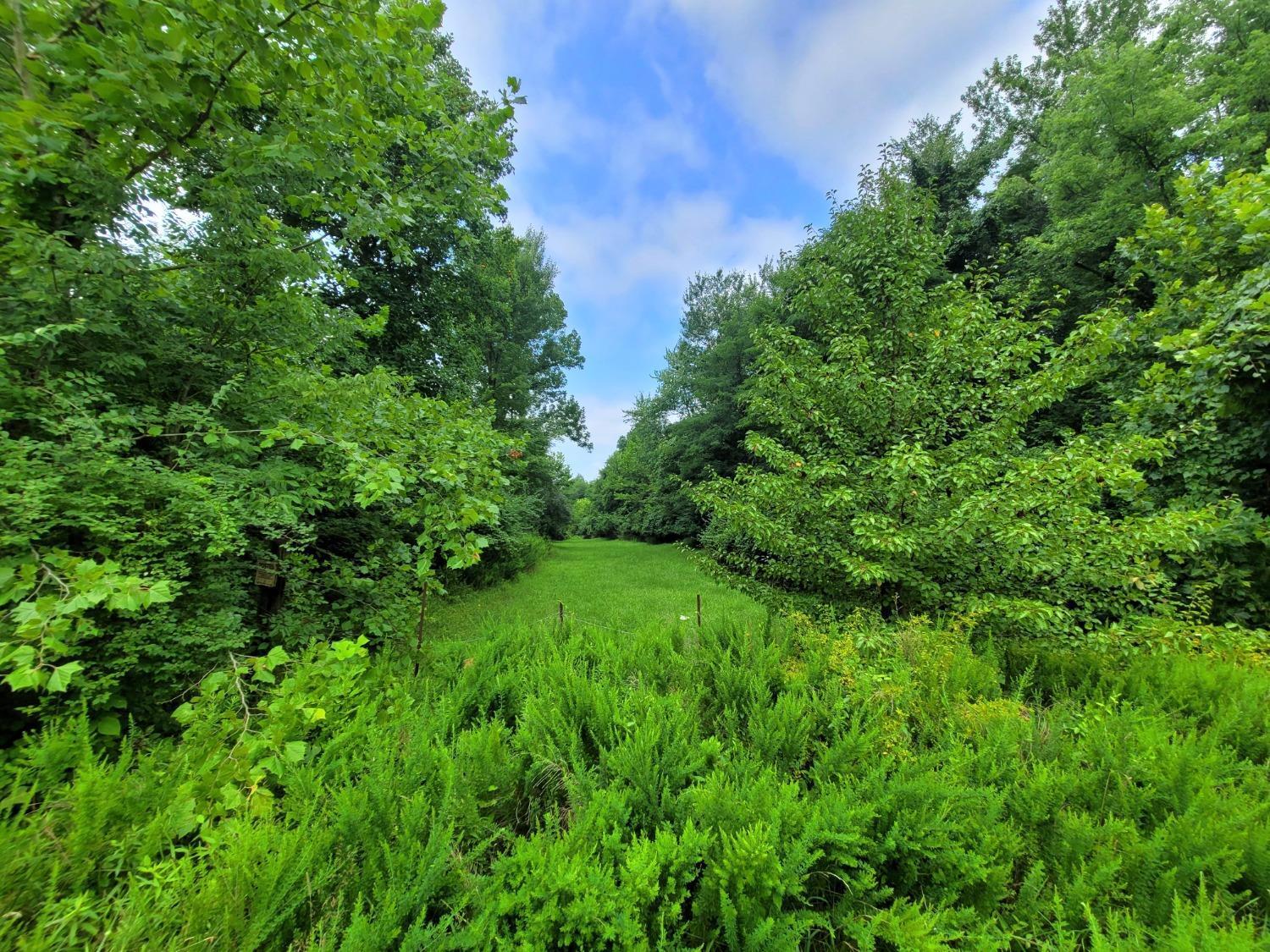  8.6 Ac North Altman Rd  ac, 1779433, Monroe Twp, Vacant Land / Lot,  for sale, Lori  Newsom, Plum Tree Realty