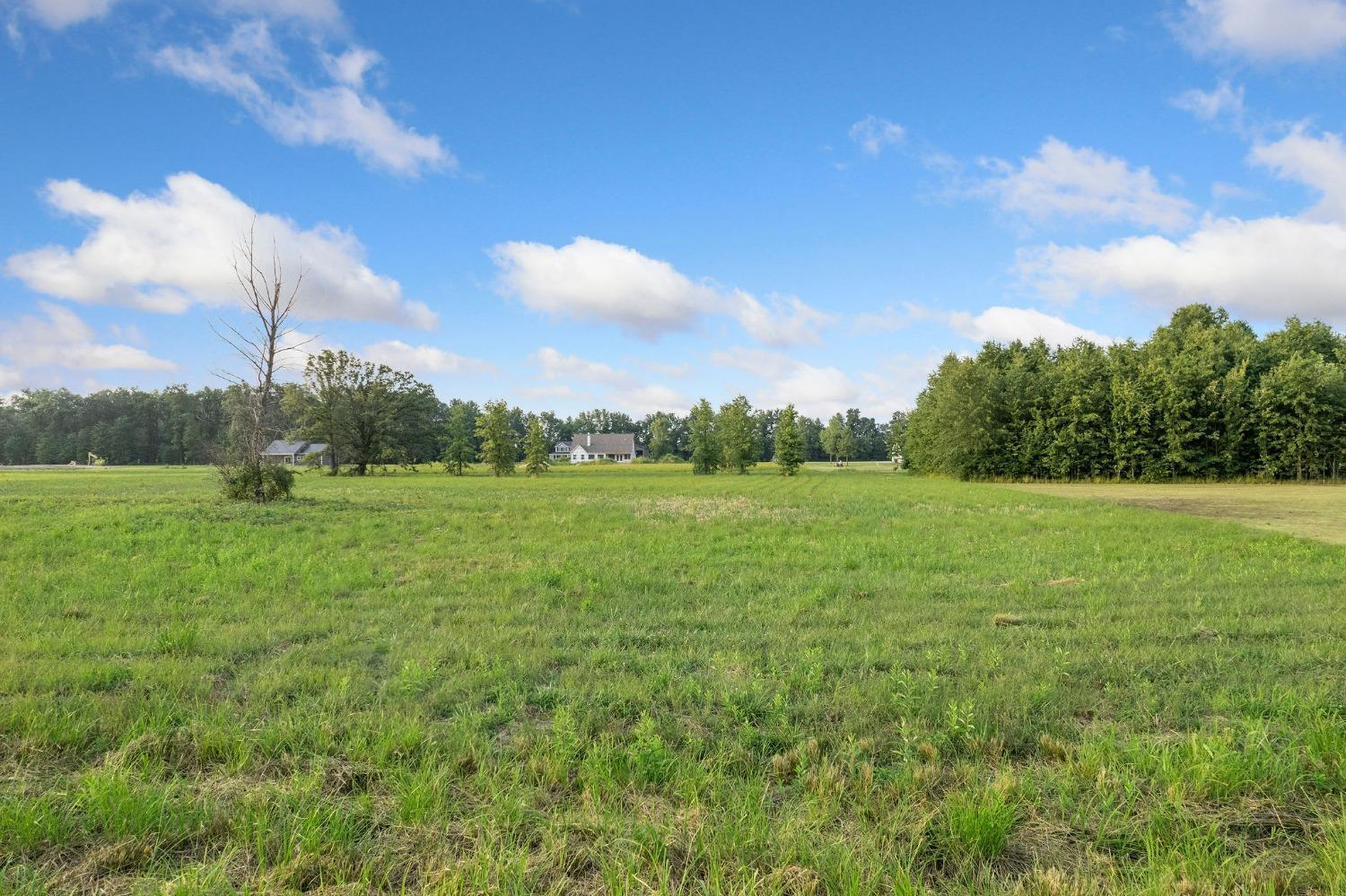 Valerie, 1780096, Sterling Twp, Vacant Land / Lot,  for sale, Lori  Newsom, Plum Tree Realty