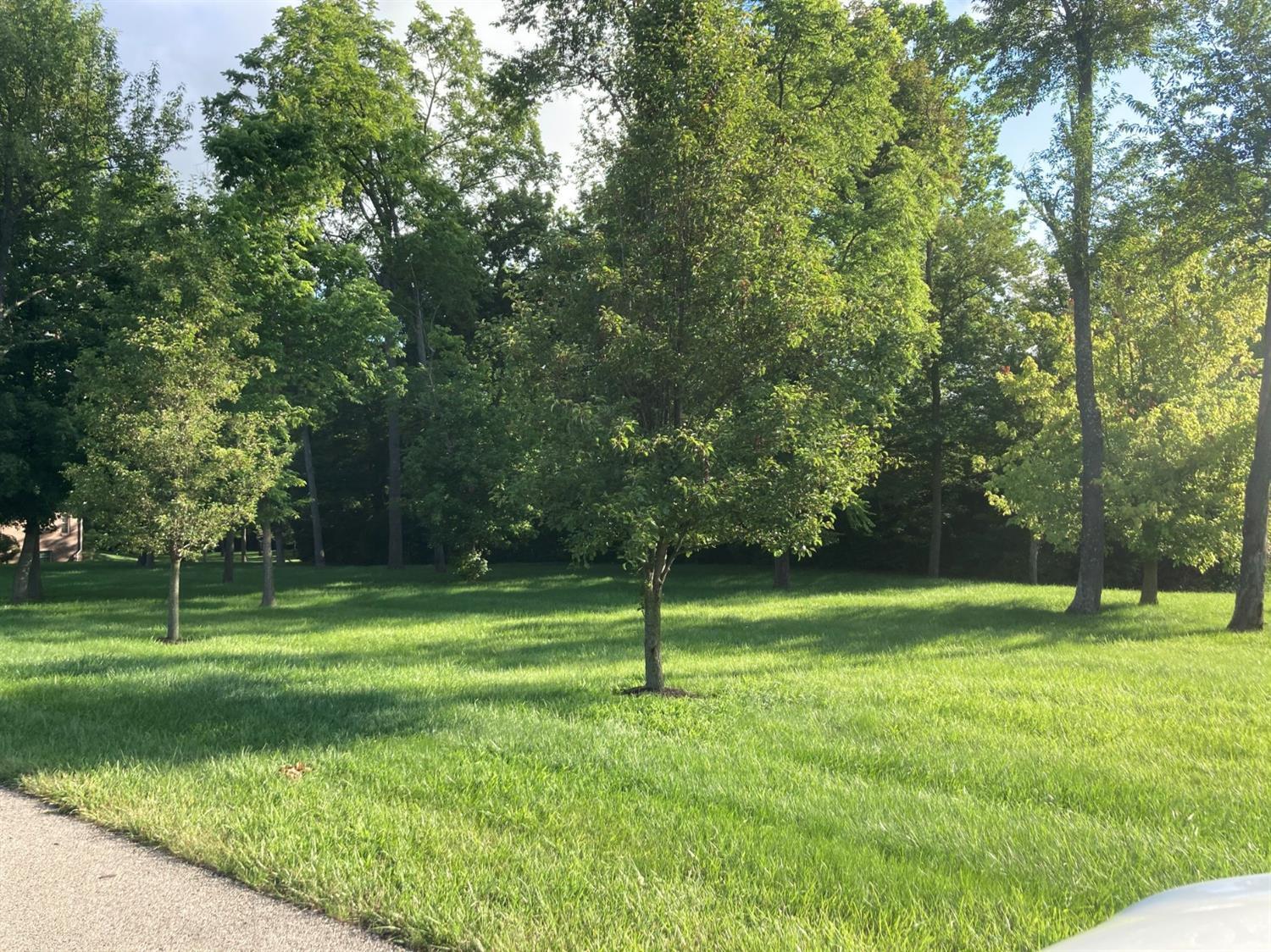 200 Random Dr, 1706474, Hamilton, Vacant Land / Lot,  for sale, Lori  Newsom, Plum Tree Realty