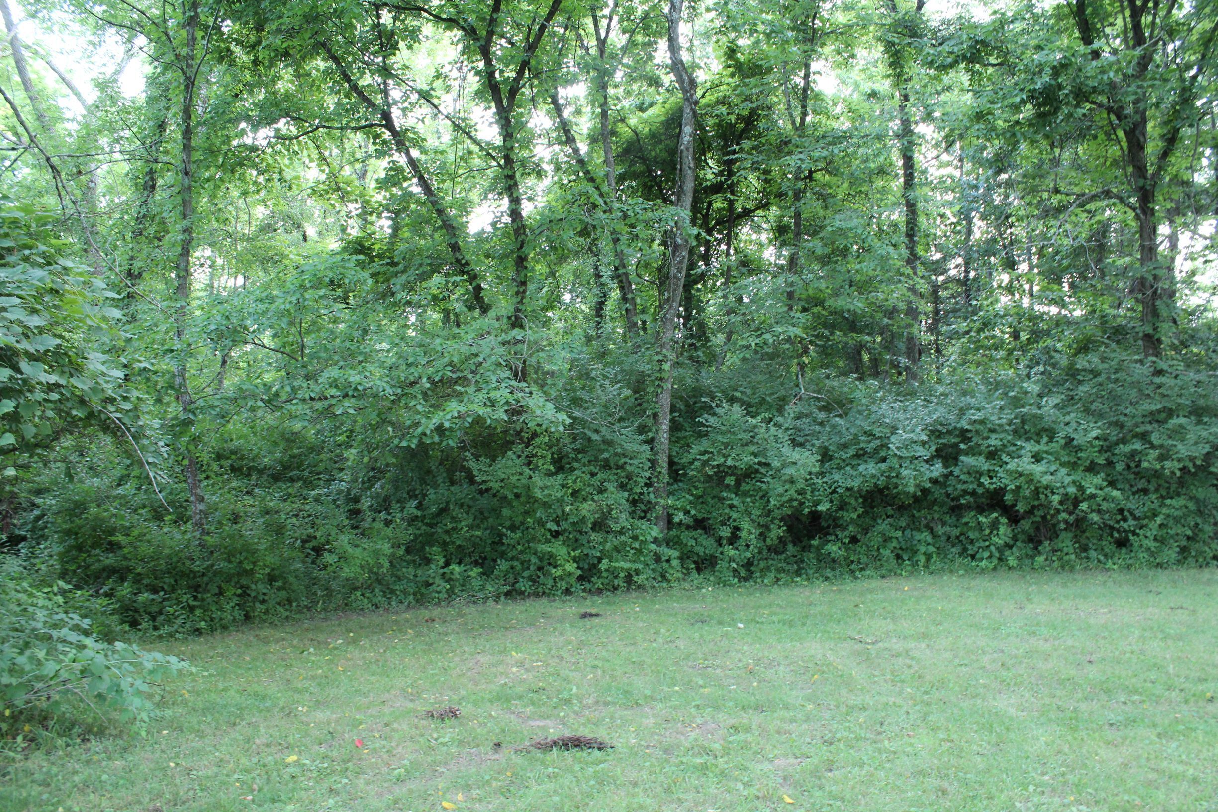 1 California Rd, 1788401, Morgan Township, Vacant Land / Lot,  for sale, Lori  Newsom, Plum Tree Realty