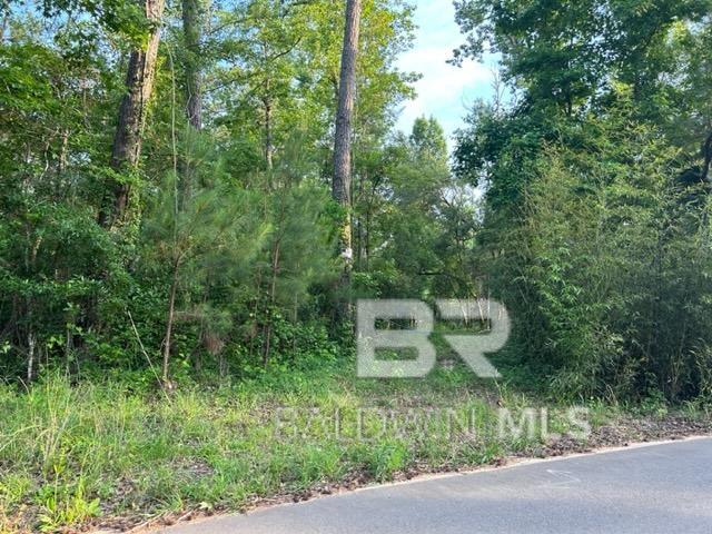 11096 Mckenzie Rd Fairhope Alabama United States, Sold, commercial,  , ValPointe Real Estate & Development