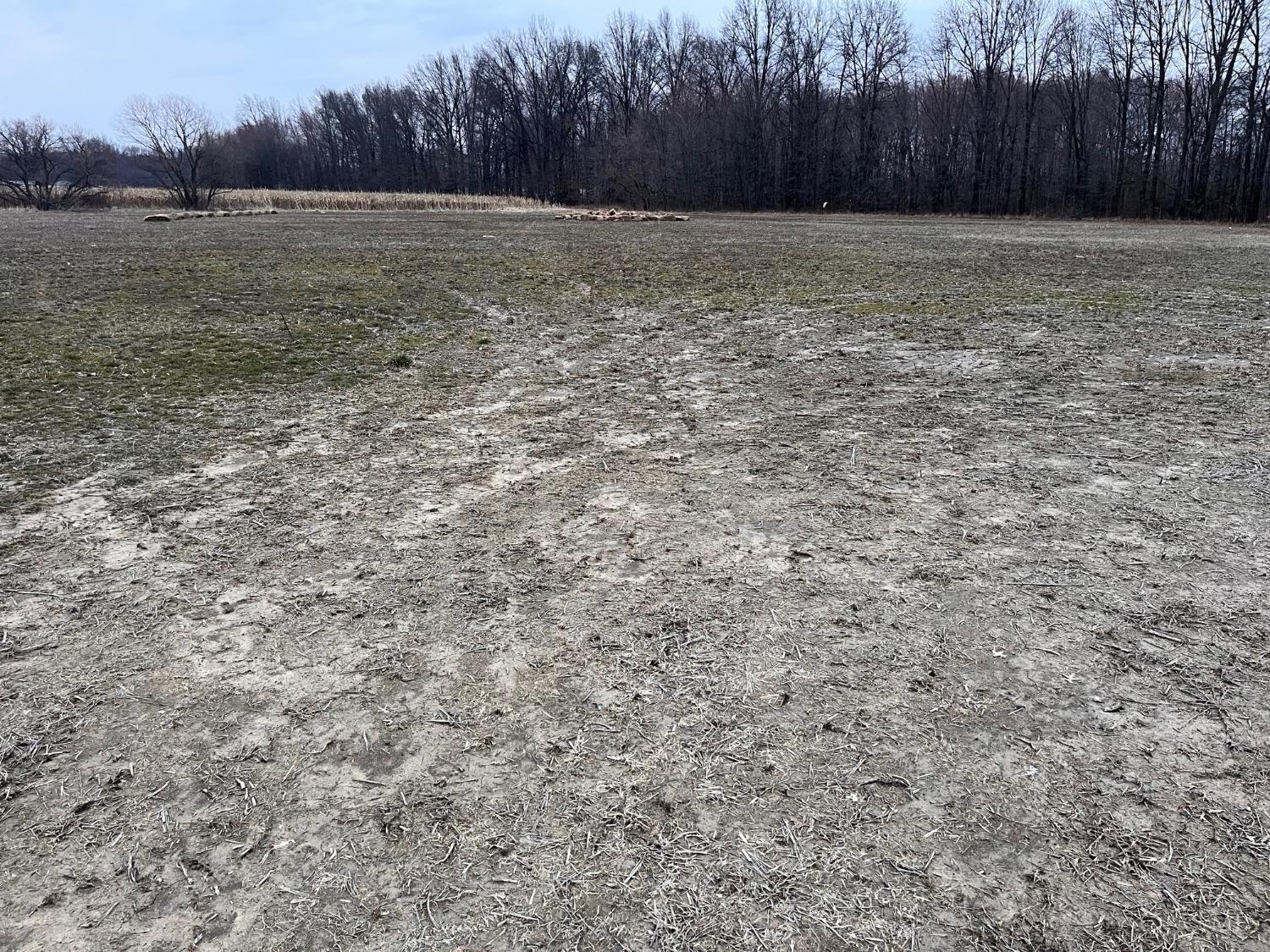 Karampas, 1797317, Sterling Twp, Vacant Land / Lot,  for sale, Lori  Newsom, Plum Tree Realty