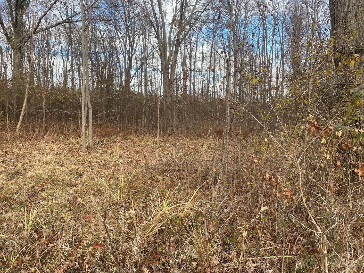 Denny, 1791057, Pierce Twp, Vacant Land / Lot,  for sale, Lori  Newsom, Plum Tree Realty