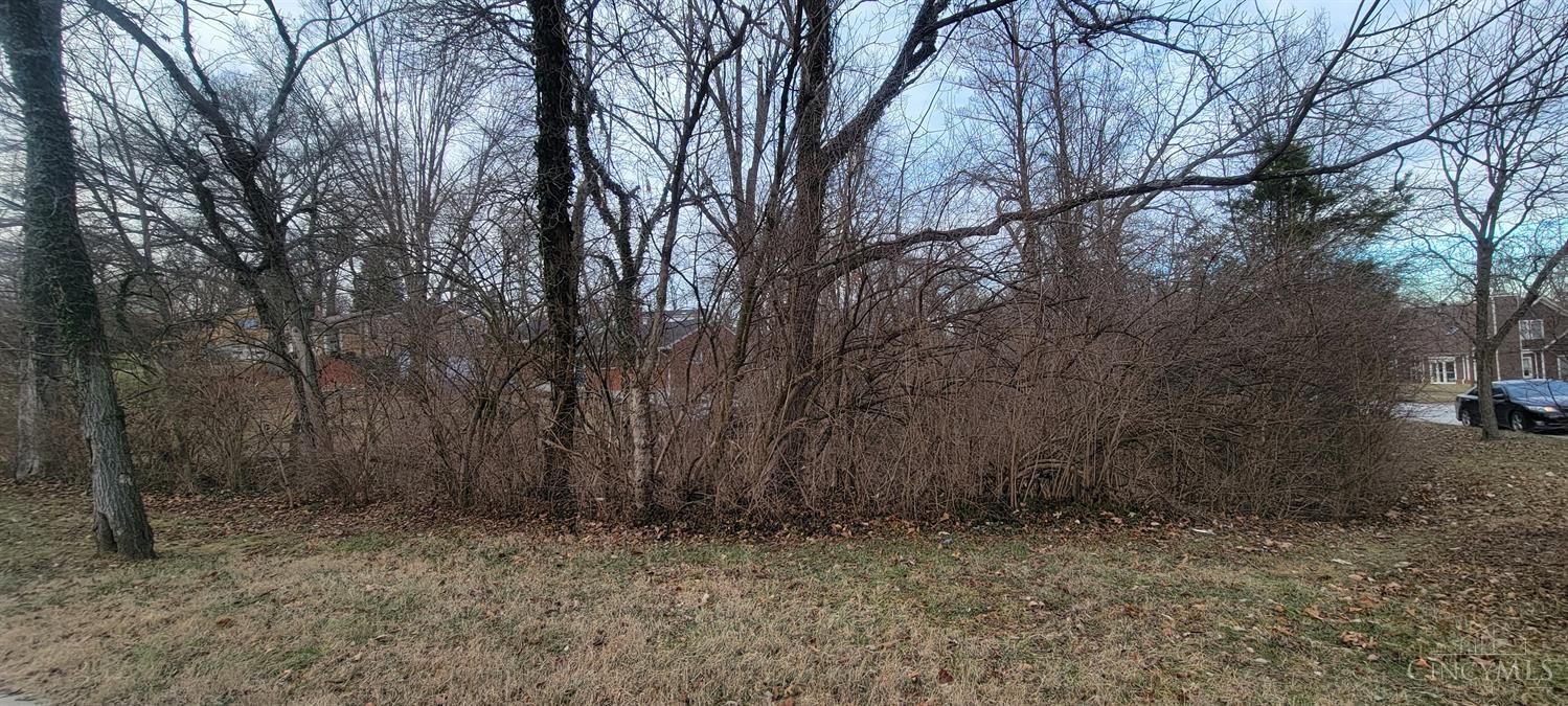 1105 Chatham Ct, 1794048, Cincinnati, Vacant Land / Lot,  for sale, Lori  Newsom, Plum Tree Realty