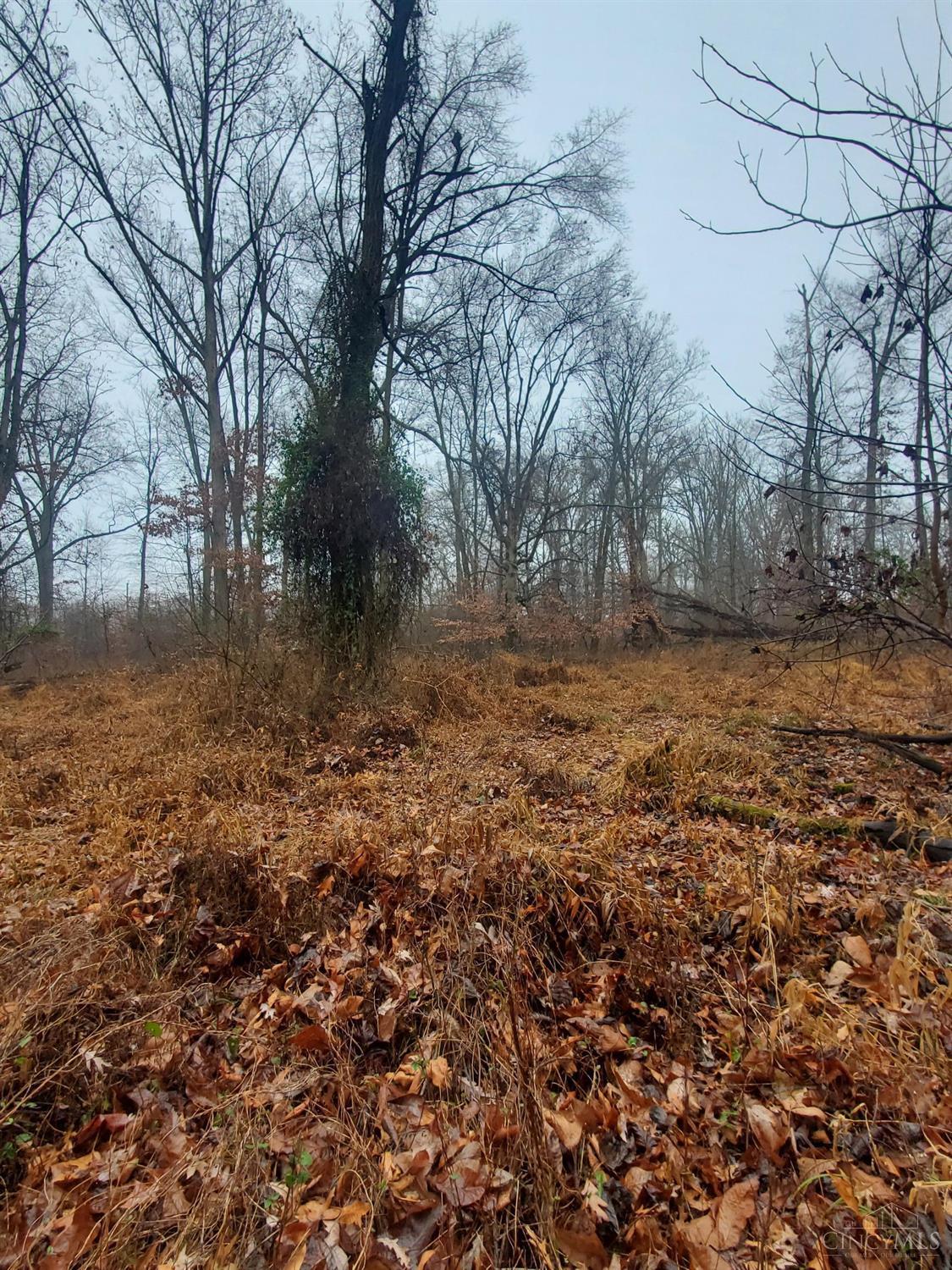 Custer, 1793600, Franklin Twp, Vacant Land / Lot,  for sale, Lori  Newsom, Plum Tree Realty