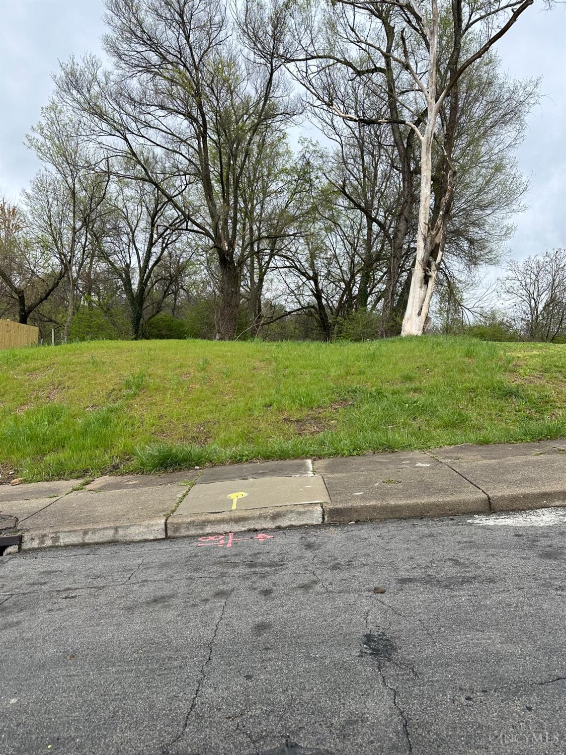 2221 Rice St, 1800385, Cincinnati, Vacant Land / Lot,  for sale, Lori  Newsom, Plum Tree Realty