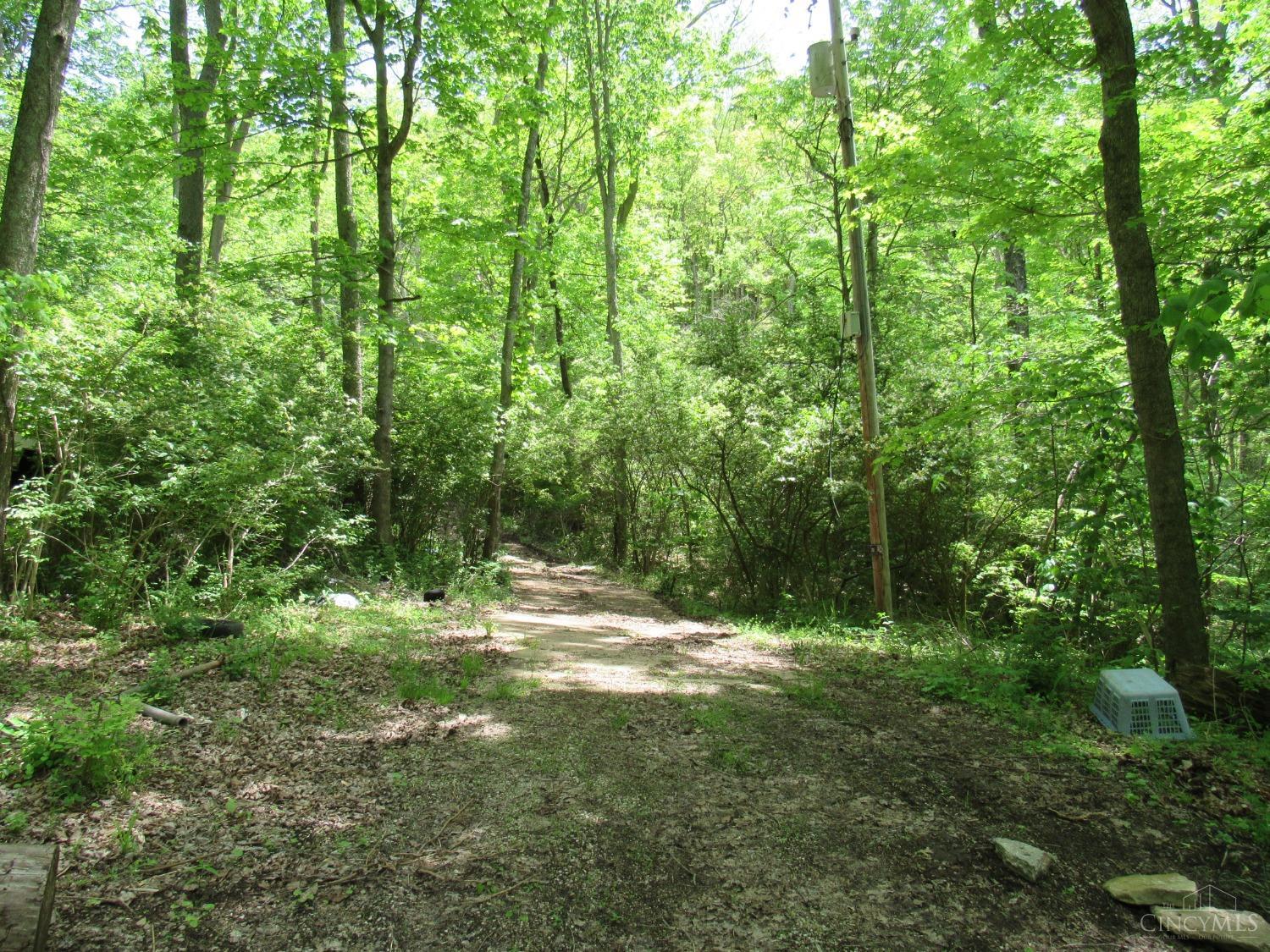 5491 Thomas Road, 1800476, Lewis Twp, Vacant Land / Lot,  for sale, Lori  Newsom, Plum Tree Realty