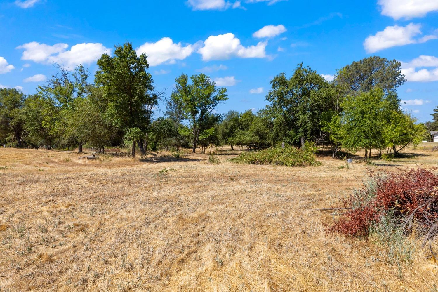 4 Golden Gate Avenue Orangevale California United States, for Sale, residential, Cornel Vancea, Alliance Bay Realty