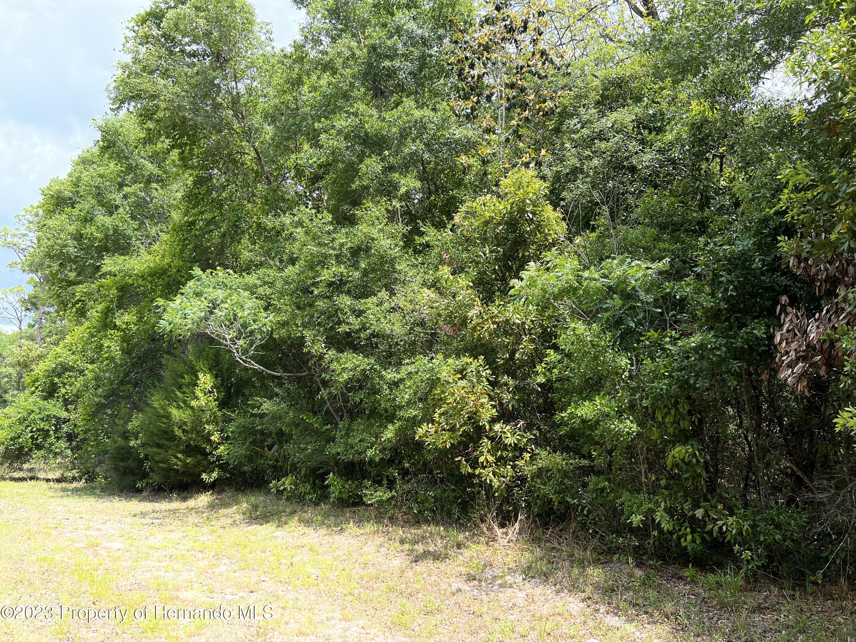 NW 70th Circle Chiefland Florida United States, for Sale, residential,  , Gold Star Realty Group Inc