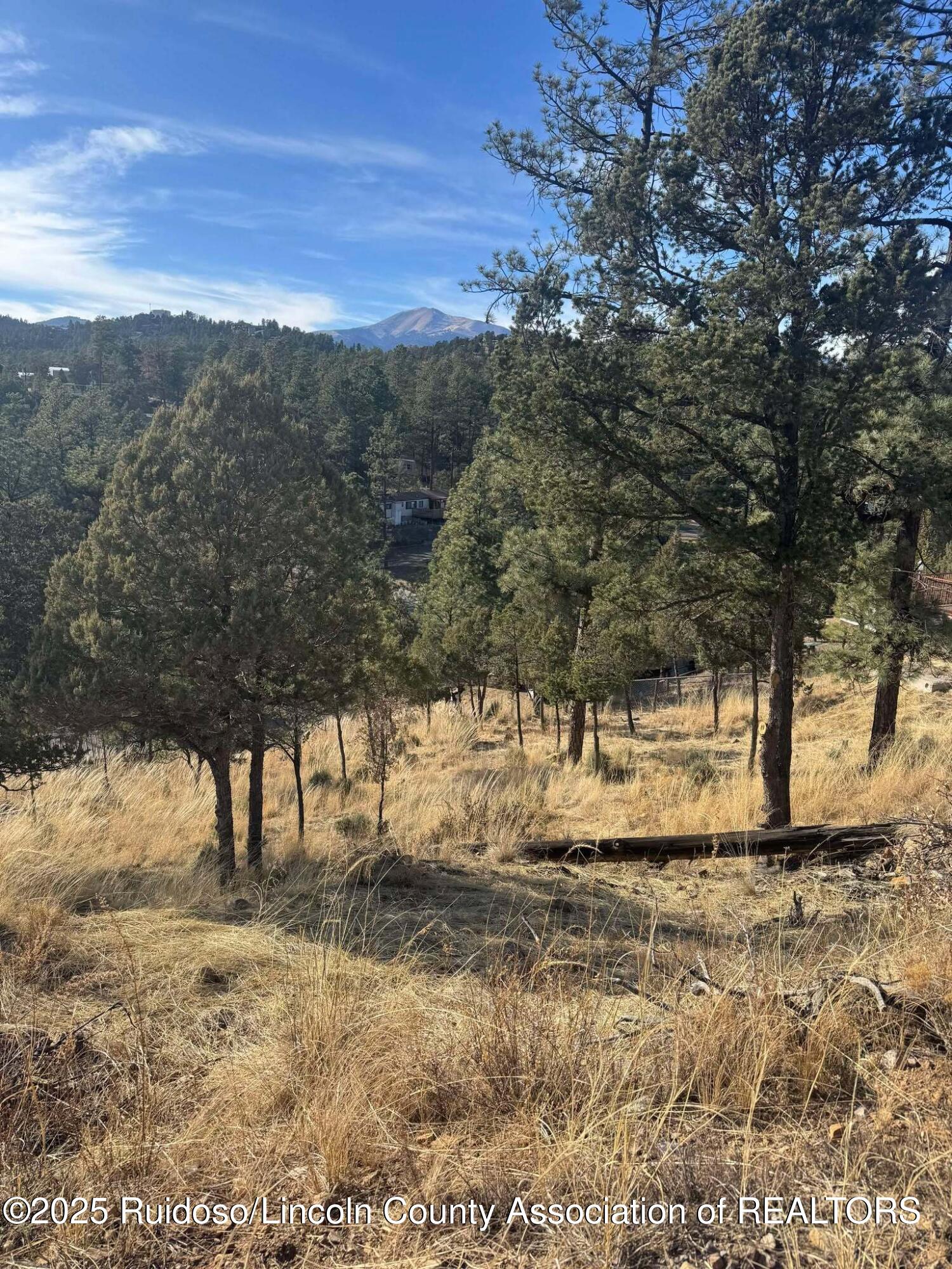 110 Rockmount Drive Ruidoso New Mexico United States, for Sale, commercial, Mirissa Good, Better Homes & Gardens Real Estate - Steinborn & Associates
