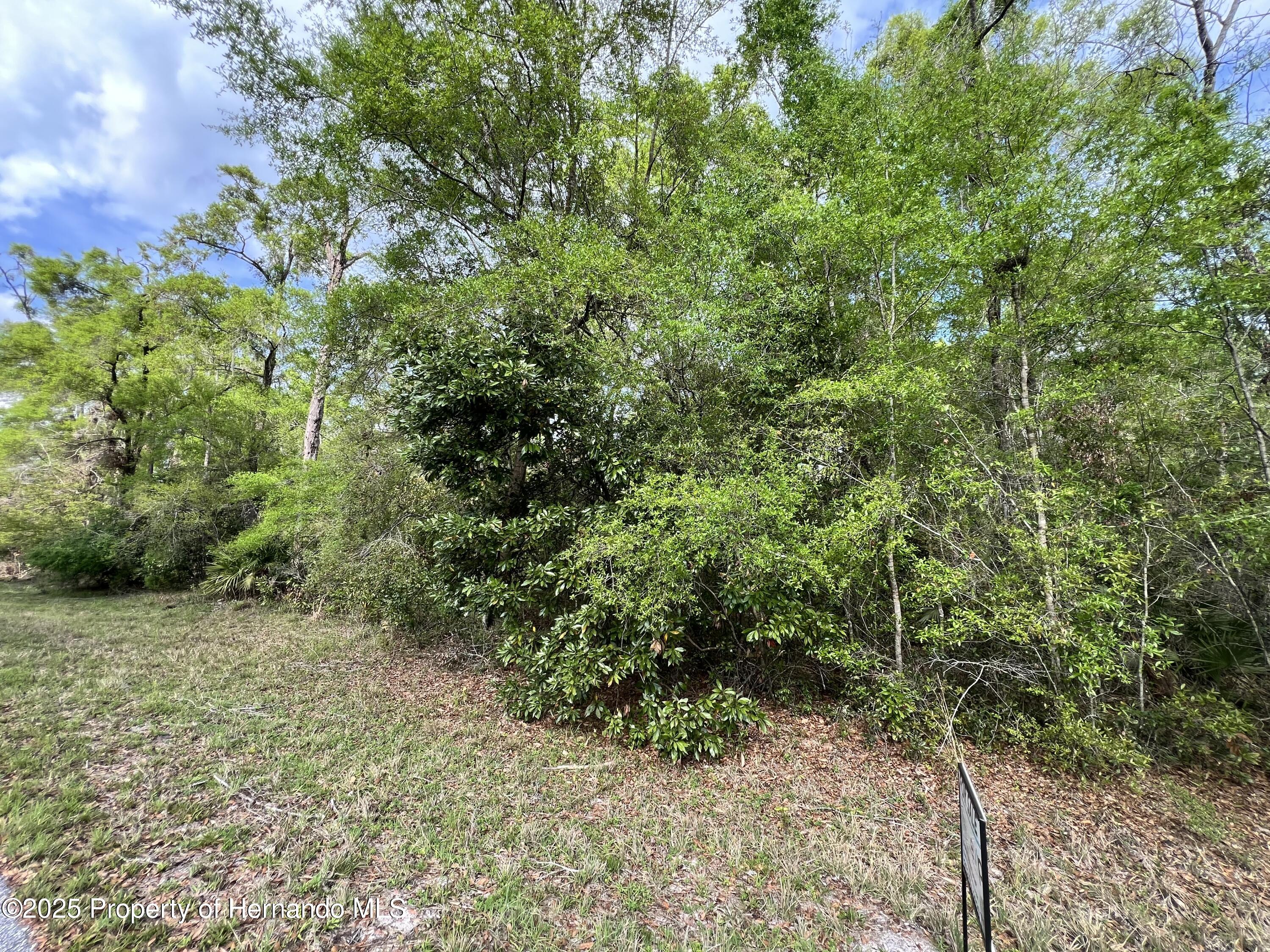 NW 74th Court Chiefland Florida United States, for Sale, residential,  , Gold Star Realty Group Inc
