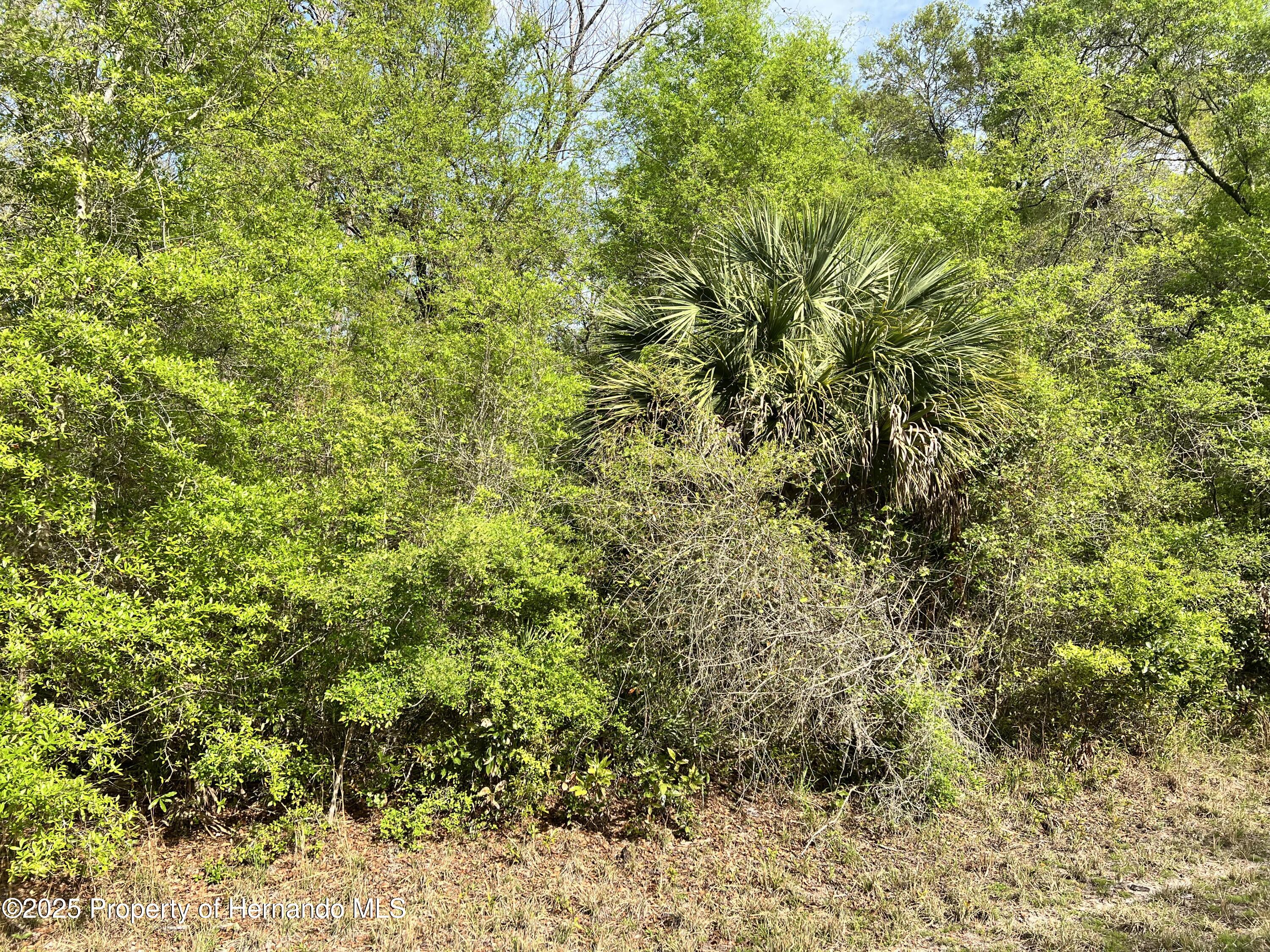 NW 74th Court Chiefland Florida United States, for Sale, residential,  , Gold Star Realty Group Inc