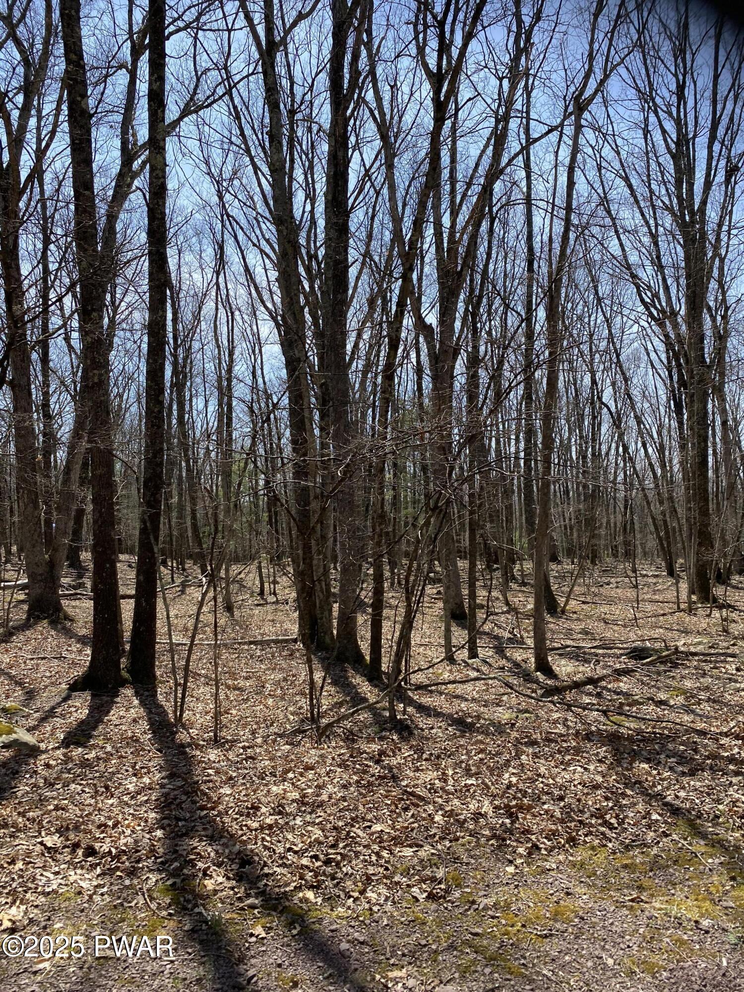 Lot 116 Beech Tree Court Hawley Pennsylvania United States, for Sale, residential, Al Ryan, Berkshire Hathaway HomeServices Pocono Real Estate