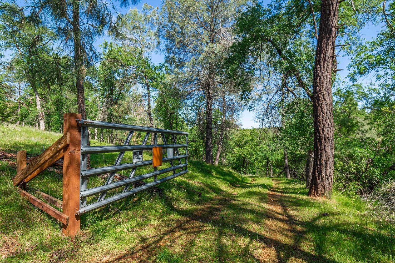 One Eye Creek, , 225055070, Placerville, for sale Zeller Realty - Sierra Properties One Eye Creek, 225055070, Placerville, for sale, Zeller Realty - Sierra Properties