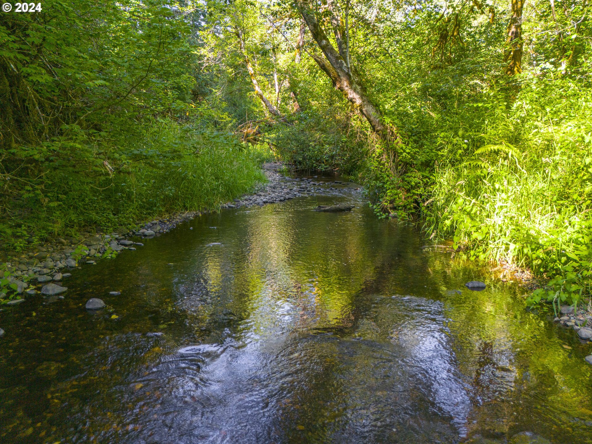 29990 SE KNOX RD Boring Oregon United States, for Sale, residential, Therese Fleischman, Exclusive Homes Real Estate