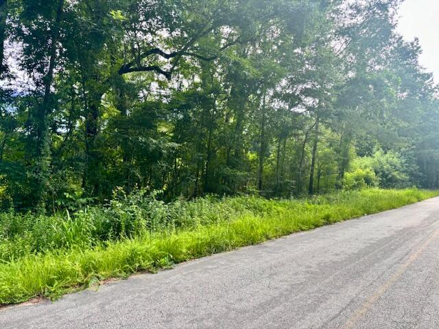 8946 Anderson Road Adams Run South Carolina United States, for Sale, commercial, Bobbie Rose, Keller Williams Realty Charleston/West Ashley