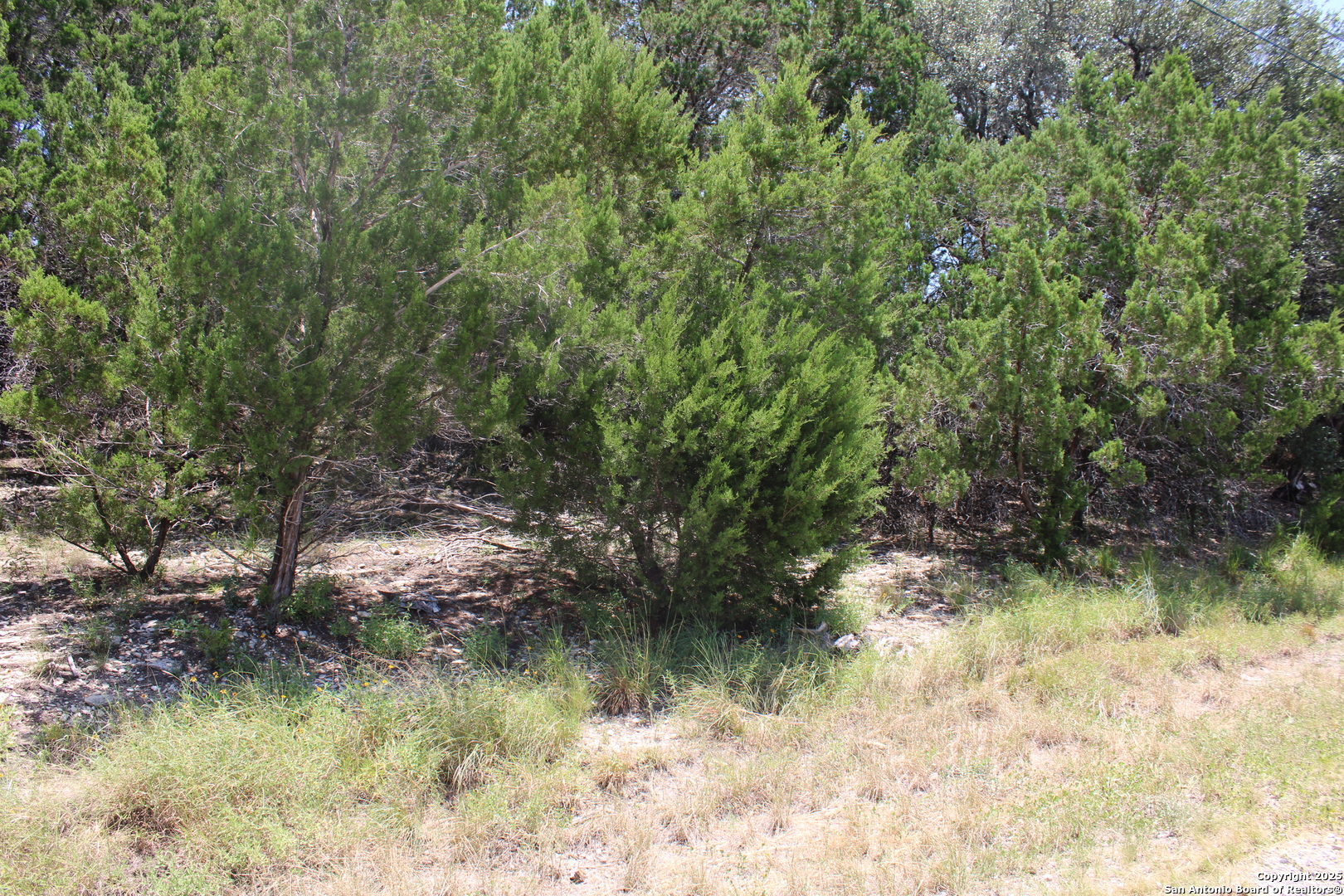 1105 Rotherman Canyon Lake Texas United States, for Sale, residential, Rita Vera, Central Metro Realty LLC