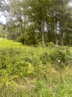 4300 Dale Williamson Road Union Kentucky United States, for Sale, commercial, , Hand In Hand Realty