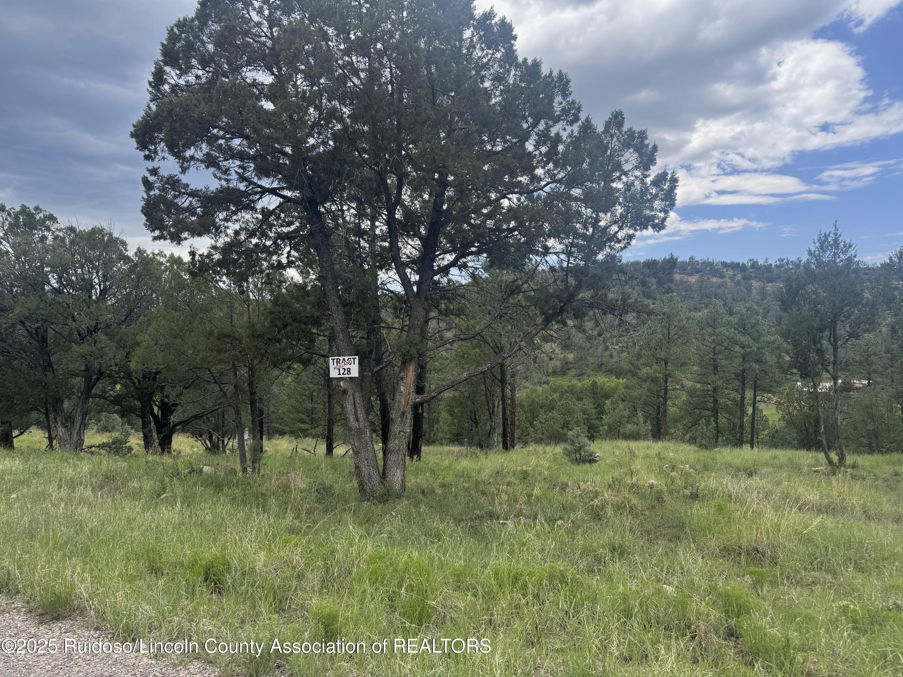 183 Corrida De Rio Alto New Mexico United States, for Sale, commercial, Esme Sanchez, Century 21 Aspen Real Estate Company Inc.