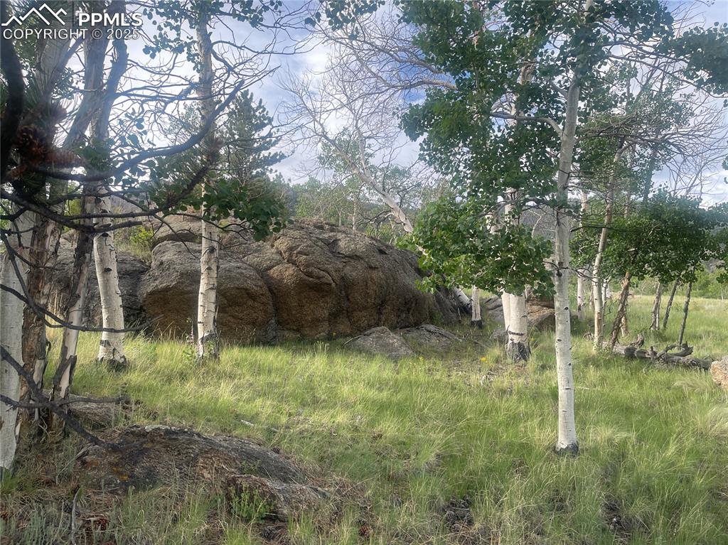 170 Emerald Way Lake George Colorado United States, for Sale, commercial,  , MacKenzie-Jackson Real Estate