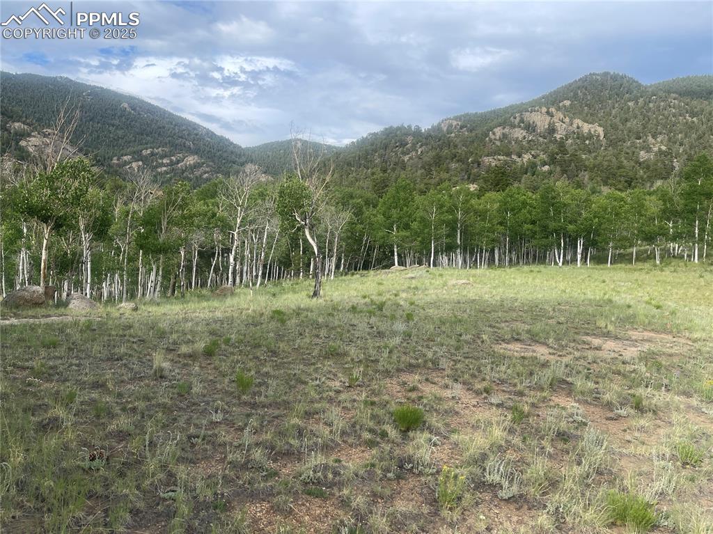 171 Emerald Way Lake George Colorado United States, for Sale, commercial,  , MacKenzie-Jackson Real Estate