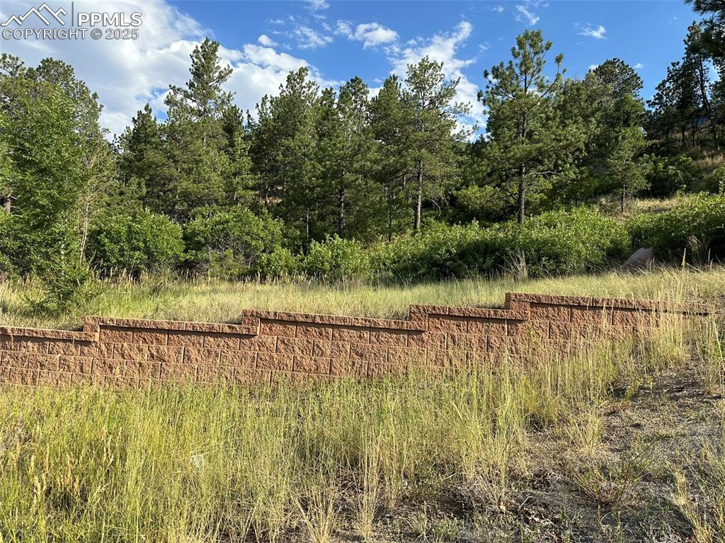 45 E Woodmen Road Colorado Springs Colorado United States, for Sale, commercial, Christy Dunfee, Realty One Group Apex