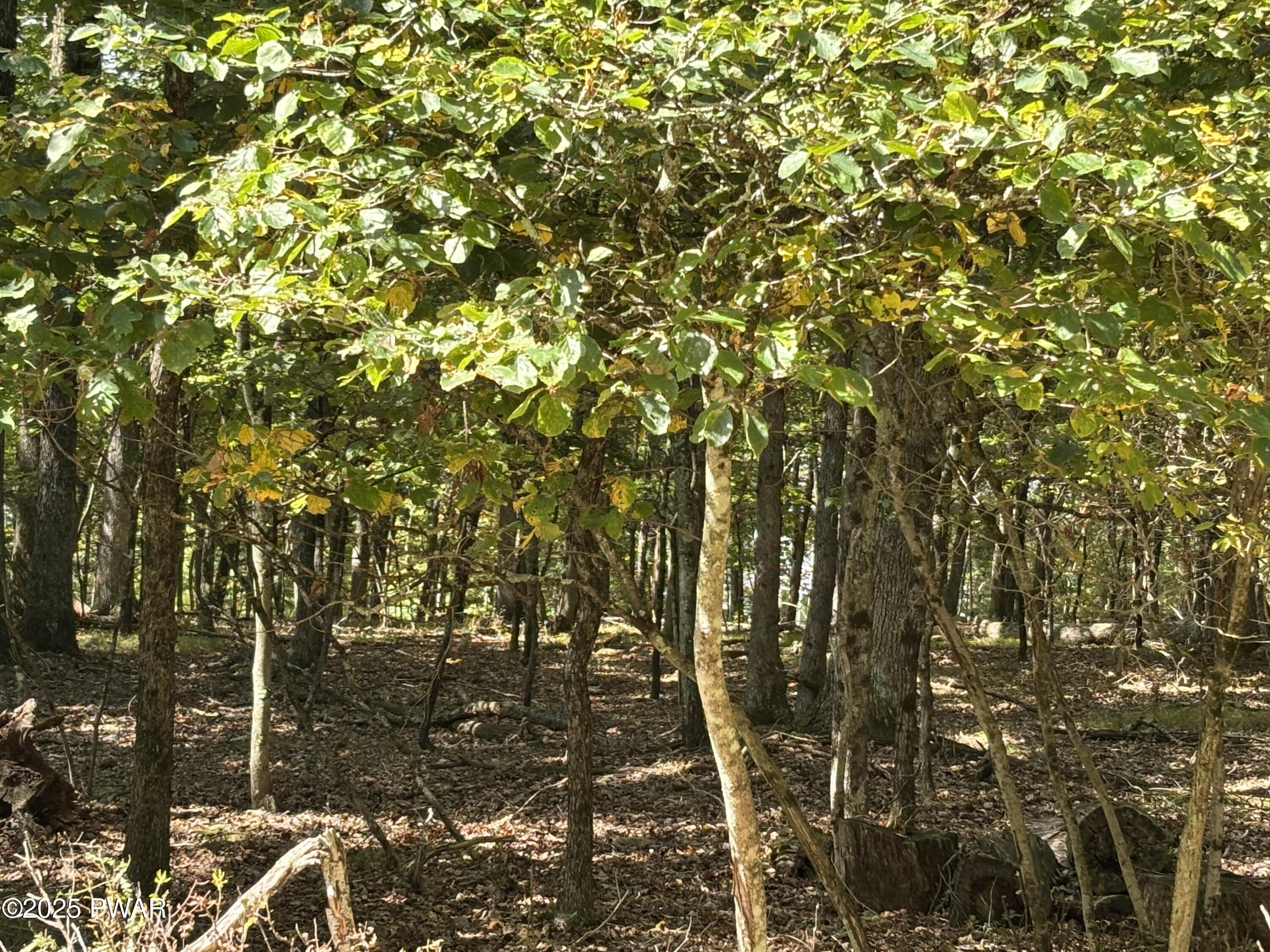 353 Westwood Lane Hawley Pennsylvania United States, for Sale, residential, Al Ryan, Berkshire Hathaway HomeServices Pocono Real Estate