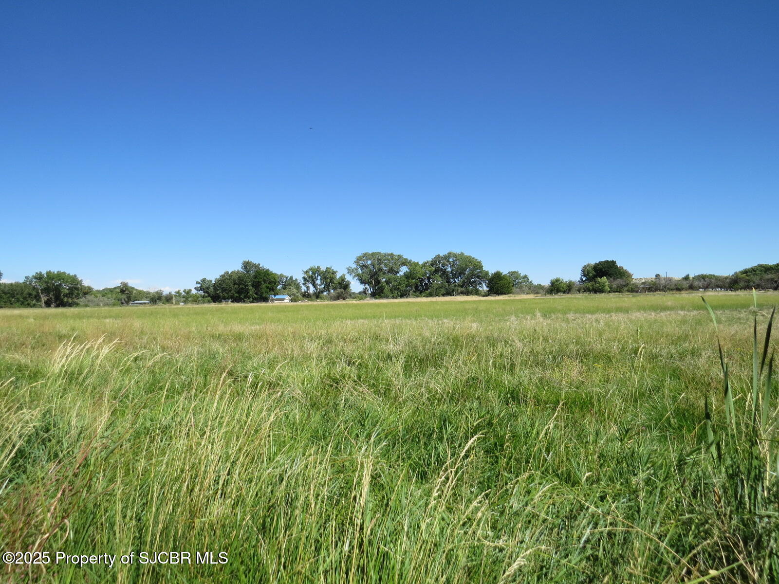 XXX ROAD 3009 Aztec New Mexico United States, for Sale, commercial, Matt Albright, Positive Realty