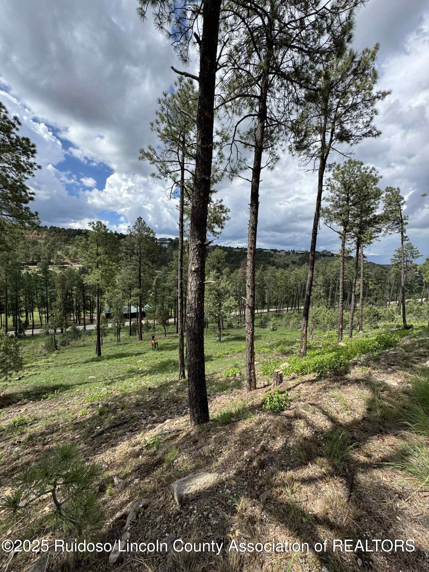 68 El Camino Drive Alto New Mexico United States, for Sale, commercial, Mirissa Good, Better Homes & Gardens Real Estate - Steinborn & Associates