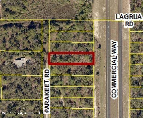 Commercial Way Lot 4 Weeki Wachee Florida United States, for Sale, residential,  , Gold Star Realty Group Inc