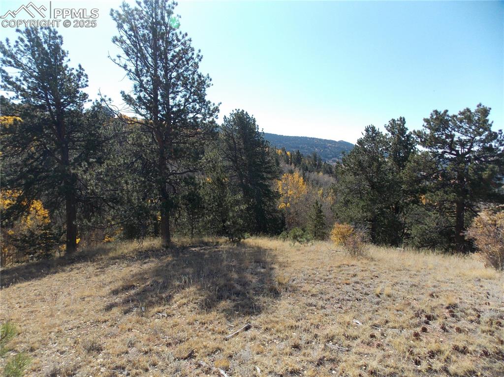 1944 May Queen Drive Cripple Creek Colorado United States, for Sale, commercial,  , MacKenzie-Jackson Real Estate