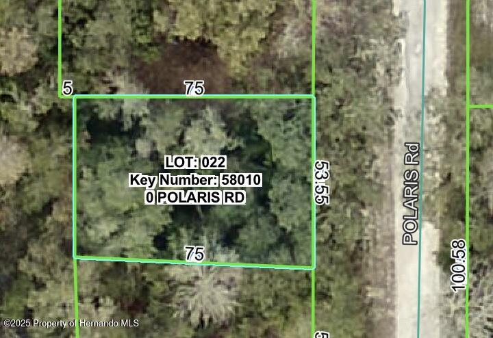 Polaris Road Dade City Florida United States, for Sale, residential,  , Gold Star Realty Group Inc