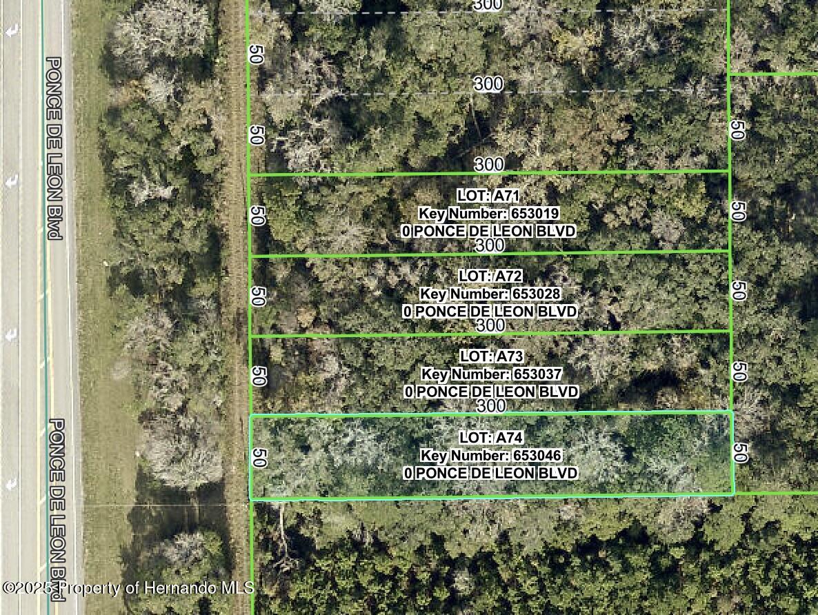 Ponce De Leon Brooksville Florida United States, for Sale, residential,  , Gold Star Realty Group Inc