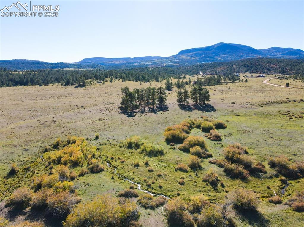 Rosebush Road Canon City Colorado United States, for Sale, commercial,  , MacKenzie-Jackson Real Estate