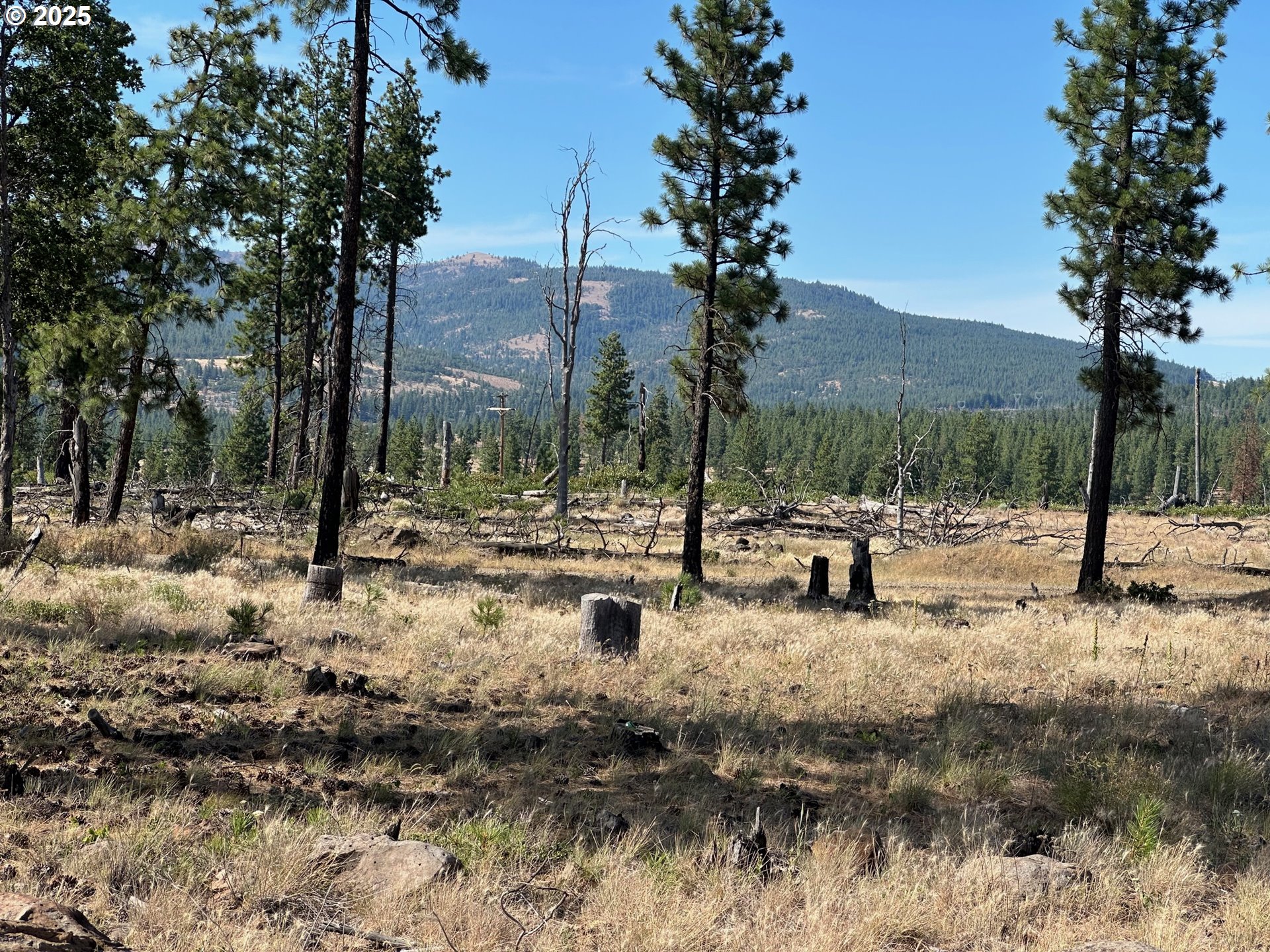 LEE RD Goldendale Washington United States, for Sale, residential,  , ARROW REALTY