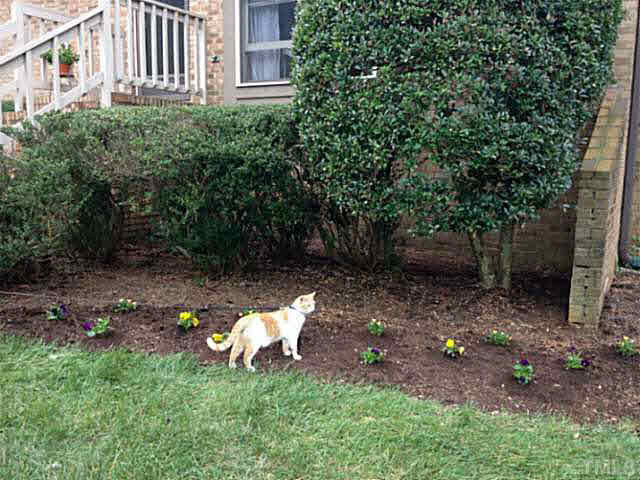 5500 Fortunes Ridge Drive APT 78D Durham North Carolina United States, Sold, residential,  , Realty World - Carolina Properties