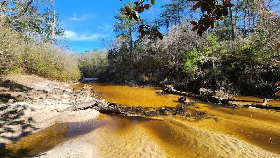 Pine Street Eight Mile Alabama United States, for Sale, commercial,  , Rezults Real Estate Services, LLC