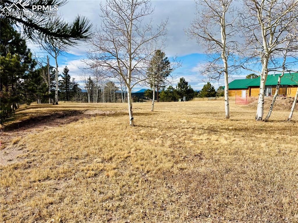 799 Elfin Glen Drive Divide Colorado United States, for Sale, commercial,  , MacKenzie-Jackson Real Estate
