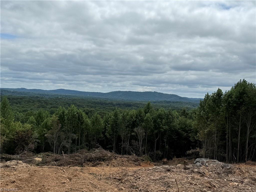 Woodfield Drive Sophia North Carolina United States, for Sale, residential,  ,  Connection Realty, LLC