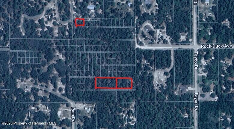 Rock Duck Avenue Weeki Wachee Florida United States, for Sale, residential,  , Gold Star Realty Group Inc